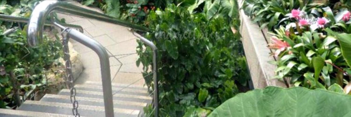 indxrectpics's tweet photo. green harry styles layout 🌿

pls rt and credit when using/saving

-kal https://t.co/Rtu8XsCAUW