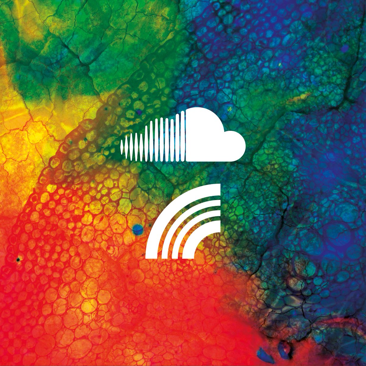 Some of our residents made the list for <a href="/rainbowvenues/">The Rainbow Venues</a> Resident Mix Series in 2016! Some bad boy mixes - soundcloud.com/rainbowvenues/…