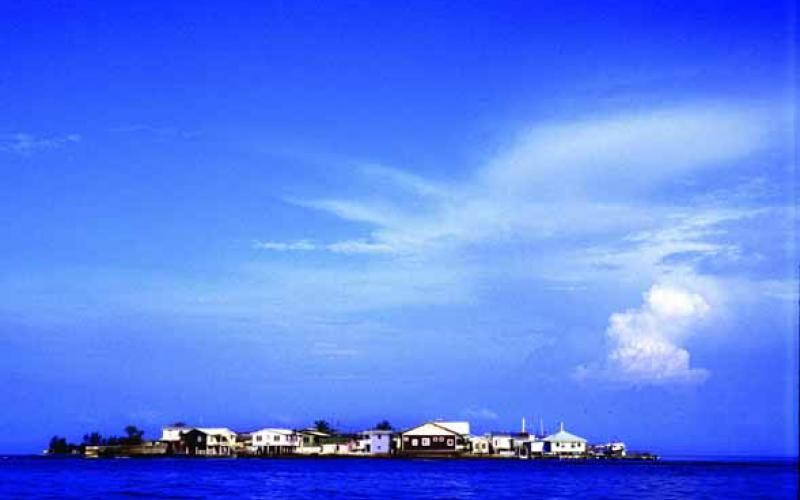 Utila es a la vez: un paraíso natural, un imán para buzos y un escenario submarino para el arrecife coralino más grande de América #Honduras