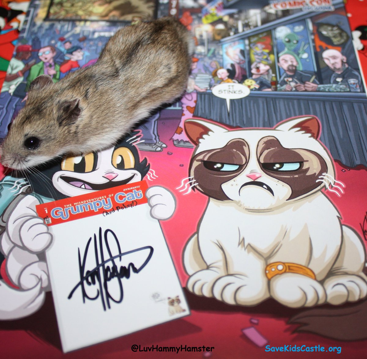 ThankYou <a href="/RealGrumpyCat/">Grumpy Cat</a> - You Rt'd me a while back and helped me realize how I could help <a href="/SaveKidsCastle/">SaveKidsCastle</a> inspiringteensmagazine.com/2016/12/15/ham…