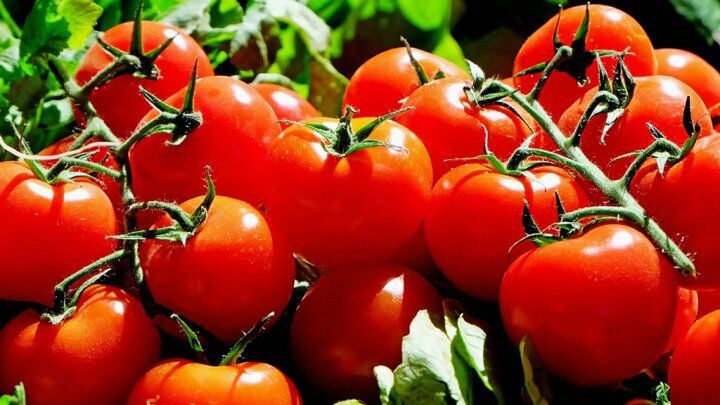 FaoudiSimo's tweet photo. @MCD-الإقامة قرب الطرق تؤدي إلى الخرف
https://t.co/zuTqVlC3AW https://t.co/lf2tpa1R68