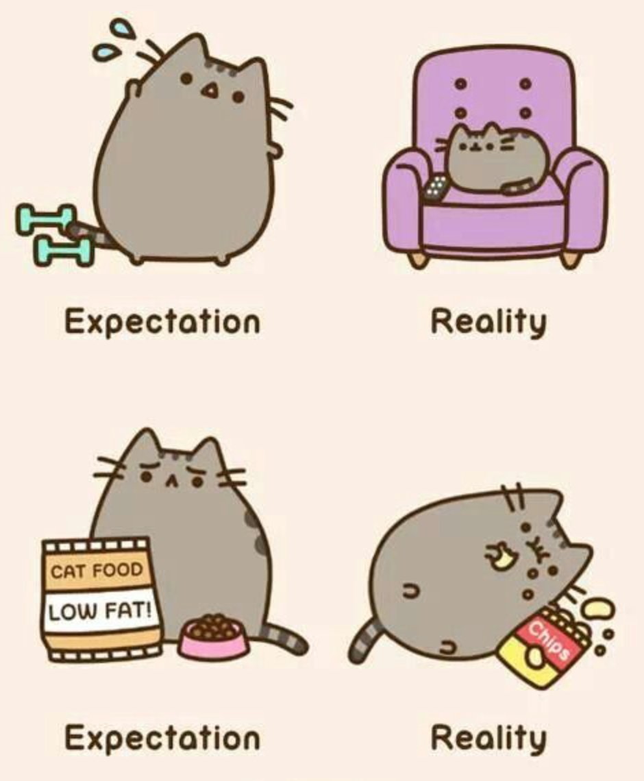 ZingFlowers's tweet image. Sounds like us... 😂😆 #newyearsresolutionfail #wasnevergoingtodoitanyway #2017