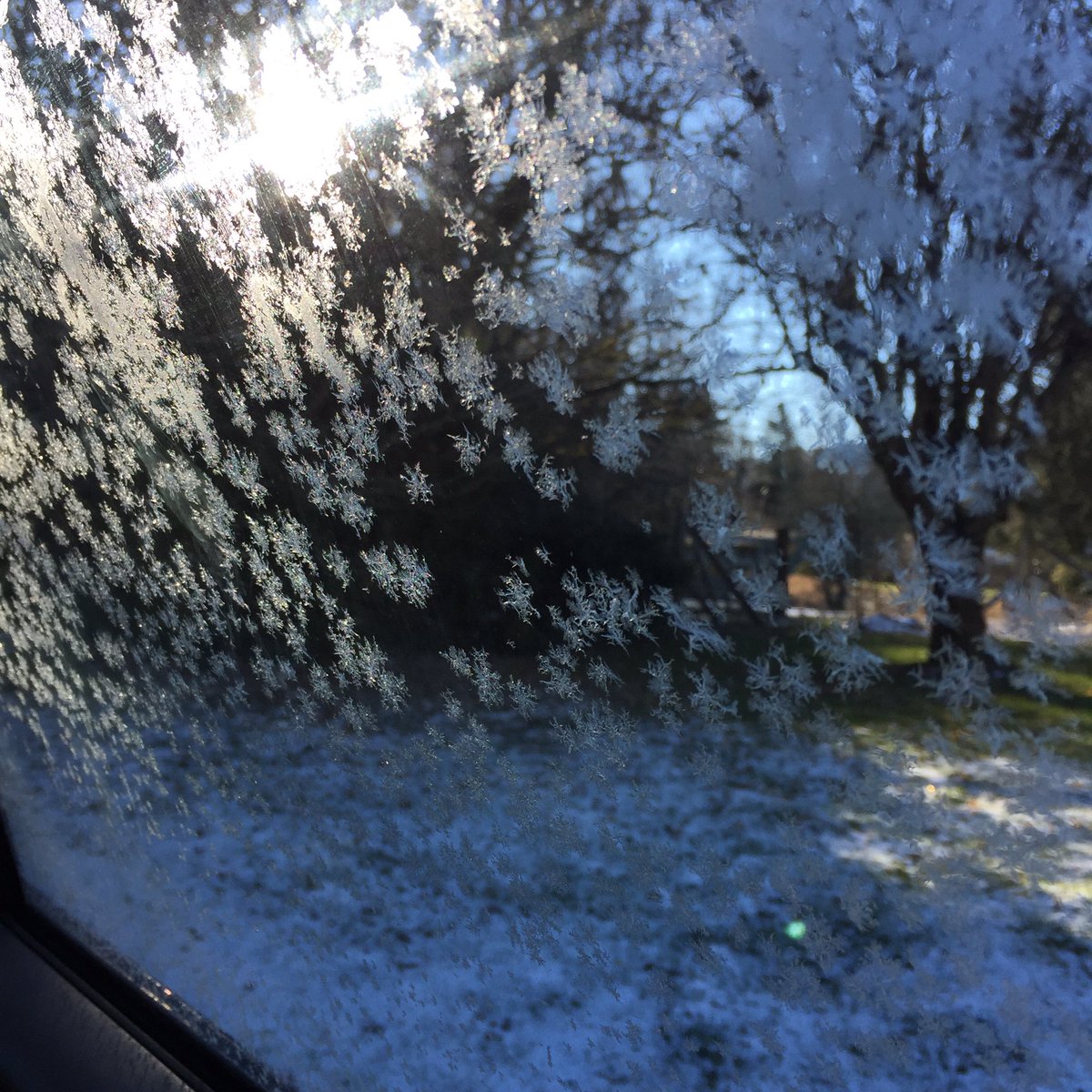 EiselRachel's tweet image. 🌨