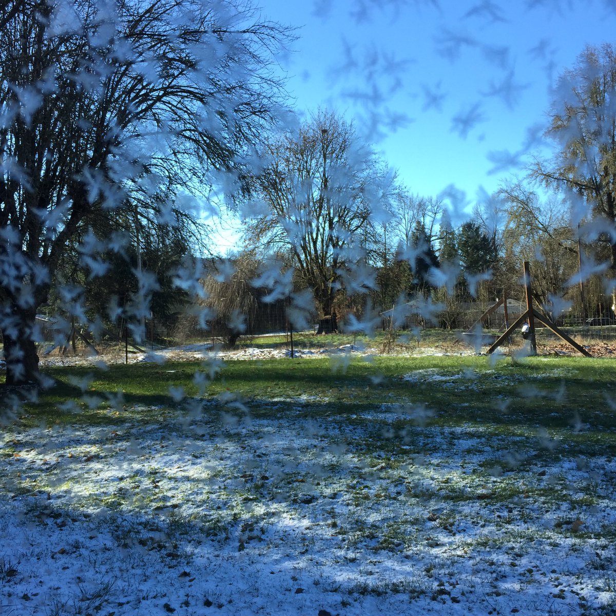 EiselRachel's tweet image. 🌨