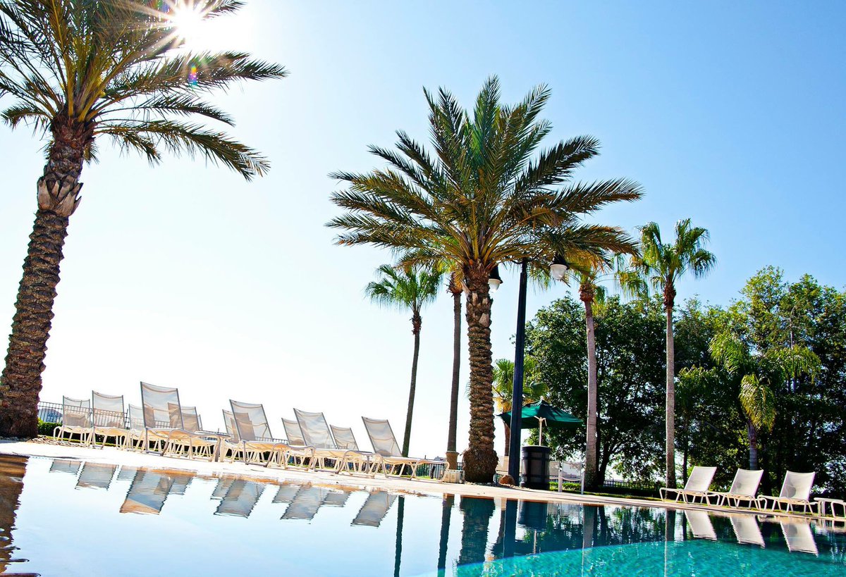 Kissimmee_ES's tweet photo. ¡Kissimmee, Florida te ofrece infinitas opciones de relajamiento y diversión para tus próximas vacaciones en familia!🌴☀️😍#Kissimmee #Florida https://t.co/IFRnbrd4MO