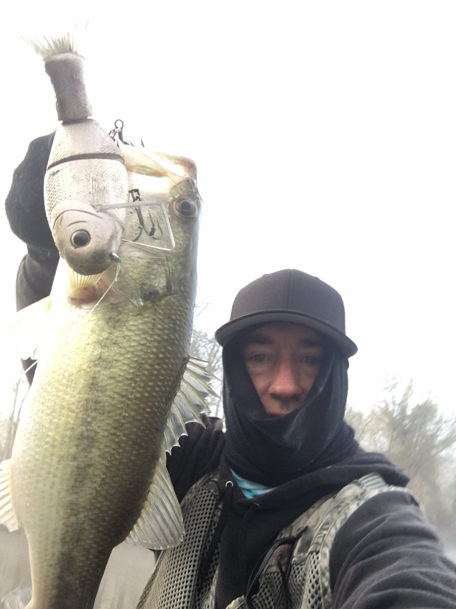 lapbass's tweet image. Neato cool new from Bullshad,but dives down 5ft.Kinda crank like but cooler.Called a4x4 that has knockers.Get your mind out of d gutter.