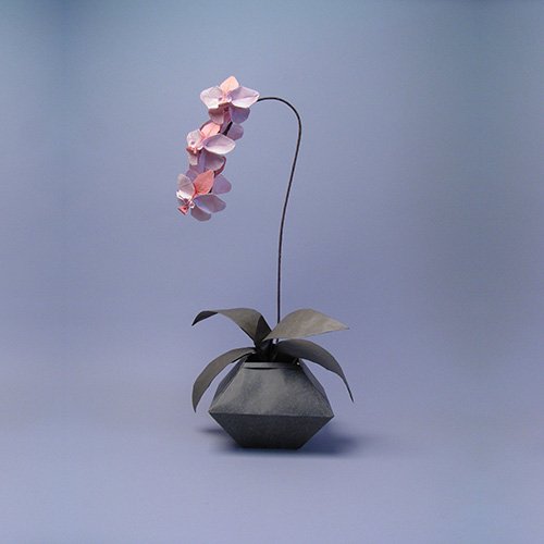 LindaPRmaven's tweet photo. This orchid's origami! From a breath-stopping show @TheHuntington open Sat-Sun only thru Jan. My post: https://t.co/uHEKZNDZar #RobertJLang https://t.co/qFGdnB35BI