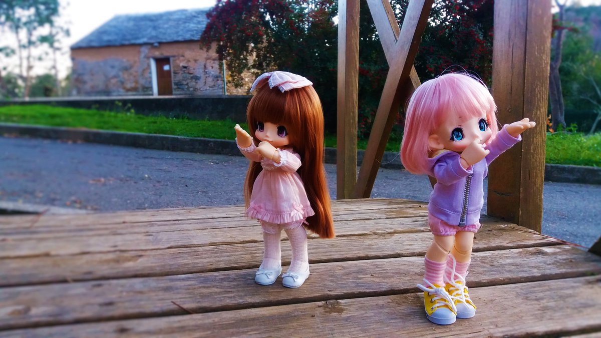 lolglu09's tweet photo. This my kikipop and the kikipop of my friend -3- They are too cute ! 💕
#doll #kikipop #kawaii #bjd #azonejp #cute https://t.co/q5iqBOwOmY