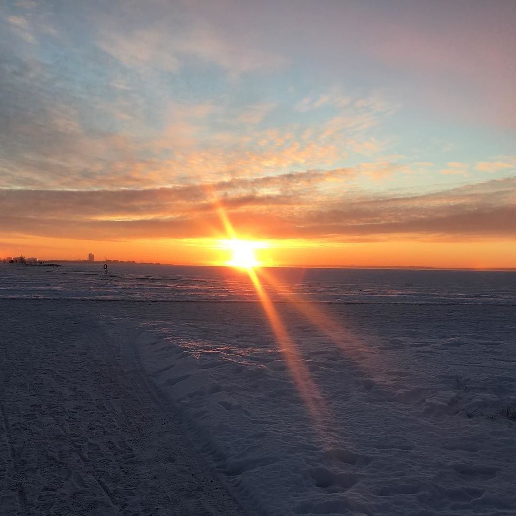 niinahalo's tweet photo. I'm in love❤ #restaurant with spectacular #view #visitoulu #visitfinland #highlyrecommende… https://t.co/Hlsxji7vcI https://t.co/1sYbWkWIg1