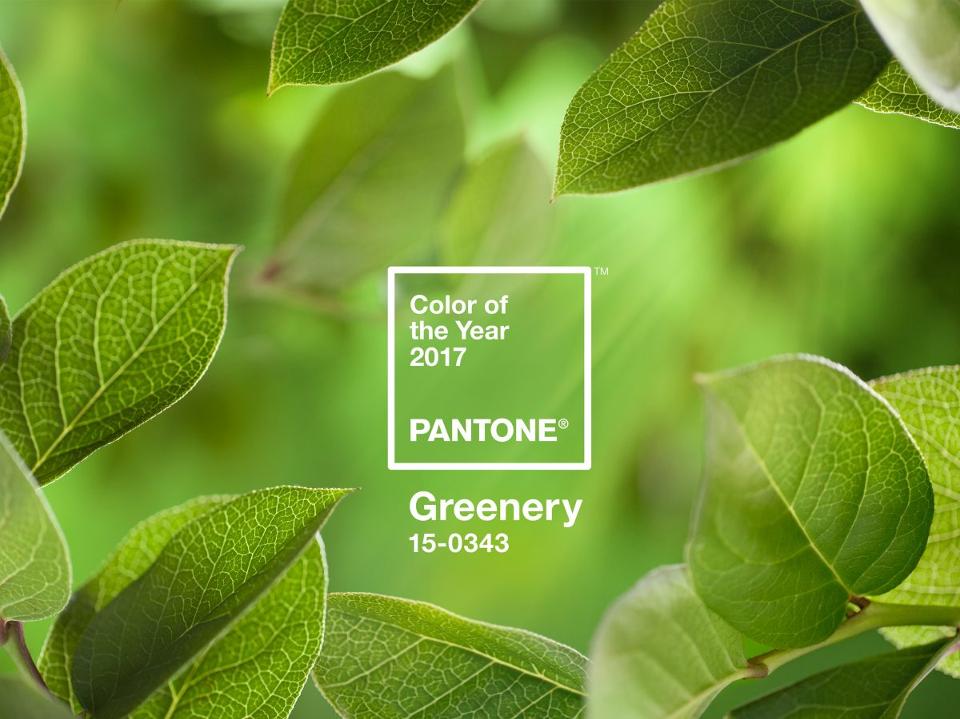 HRGreenwich's tweet photo. We are excited the 2017 #Pantone #ColoroftheYear is #GREENERY -like our Hyatt Greenwich Green. Will you be visiting our lobby this year? https://t.co/5AHo976mU6
