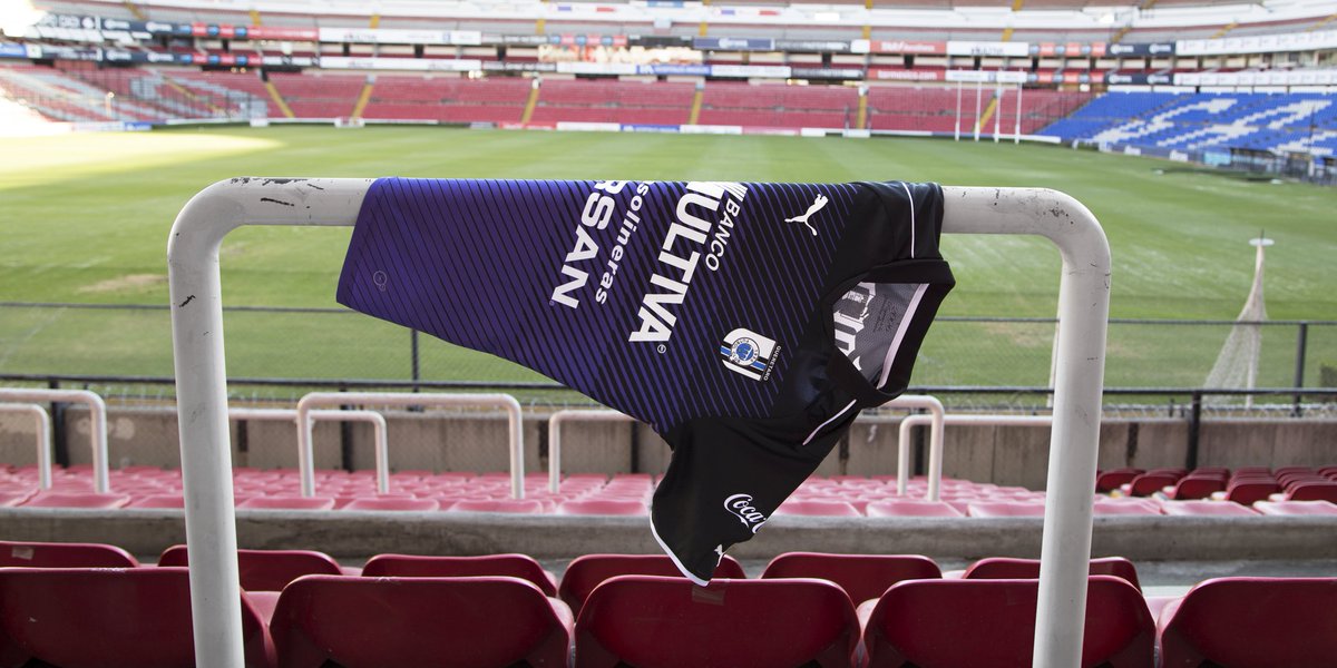 Club_Queretaro's tweet photo. ¡#Gallos! Les presentamos el nuevo #PlumajeDePelea para el #Clausura2017.

¿Qué les parece?

#SiempreGallos https://t.co/lmvSz0Liff