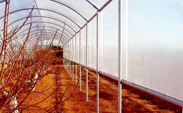 Invernaderos_'s tweet image. ¿Cómo elegir el tipo adecuado de invernadero? #factores #bioclima
invernaderoscampos.es