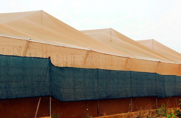 Invernaderos_'s tweet image. ¿Cómo elegir el tipo adecuado de invernadero? #factores #bioclima
invernaderoscampos.es