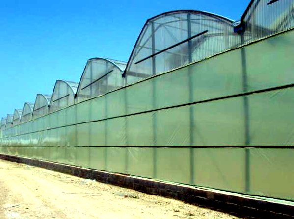 Invernaderos_'s tweet image. ¿Cómo elegir el tipo adecuado de invernadero? #factores #bioclima
invernaderoscampos.es