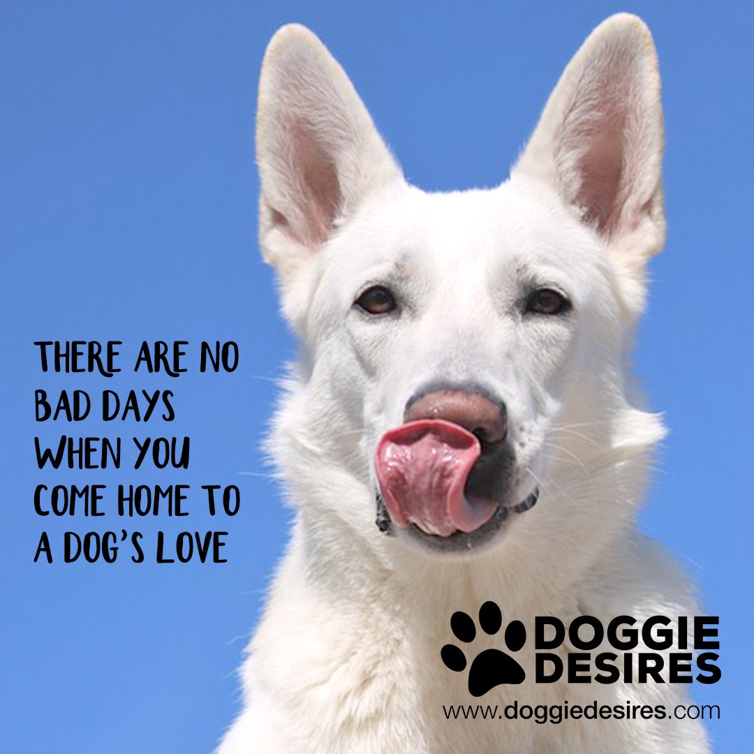 DesiresDoggie tweet picture