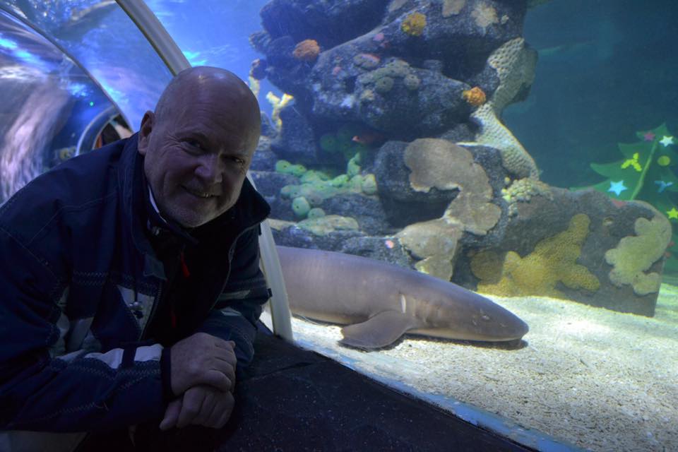 tash_wynarczyk's tweet photo. loving these pictures of Phil Mitchell at the Birmingham Sealife Centre https://t.co/9n6VH0SX88
