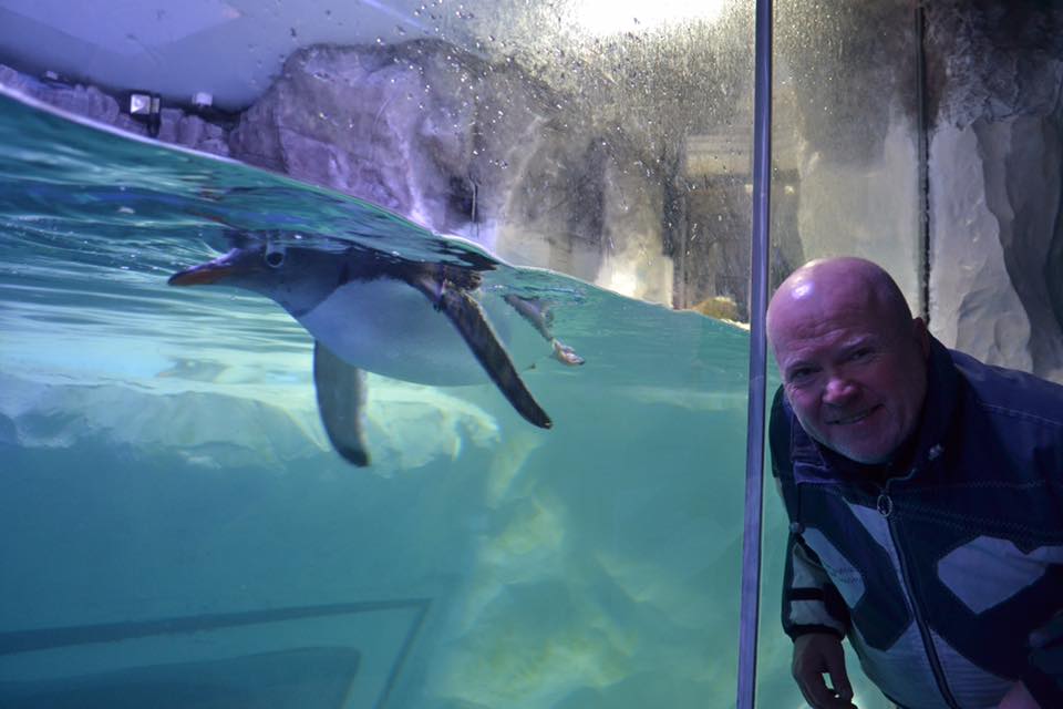 tash_wynarczyk's tweet photo. loving these pictures of Phil Mitchell at the Birmingham Sealife Centre https://t.co/9n6VH0SX88