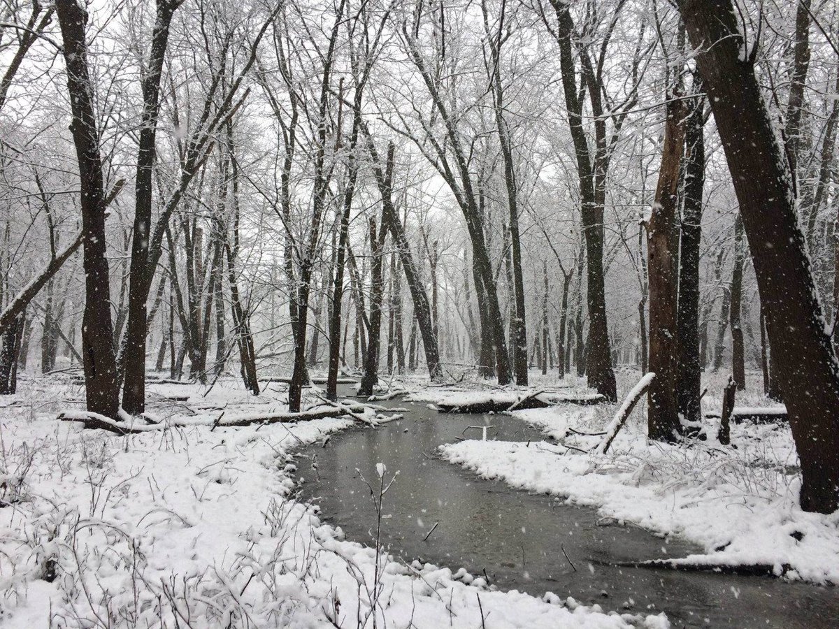 RhinoLaces's tweet photo. Get Outside! Along the Mississippi River Flyway in Iowa, Port Louisa National... https://t.co/7MK9WMQitJ https://t.co/5ALeY9NOAJ https://t.co/wg3mXmR71k