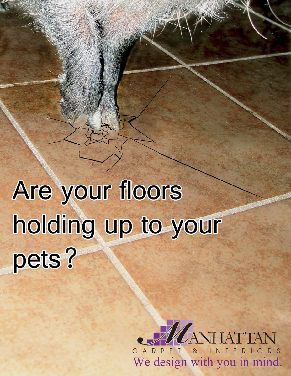 MCImanhattan's tweet image. Consider your pets when purchasing a new floor. Scratches and breaks can happen! #DesignLocal #Design #InteriorDesign