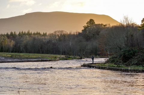 InlandFisherIE's tweet photo. Irish Angling Update 5th January 2017 https://t.co/oahm0D3eCW https://t.co/GsFYZykMH0