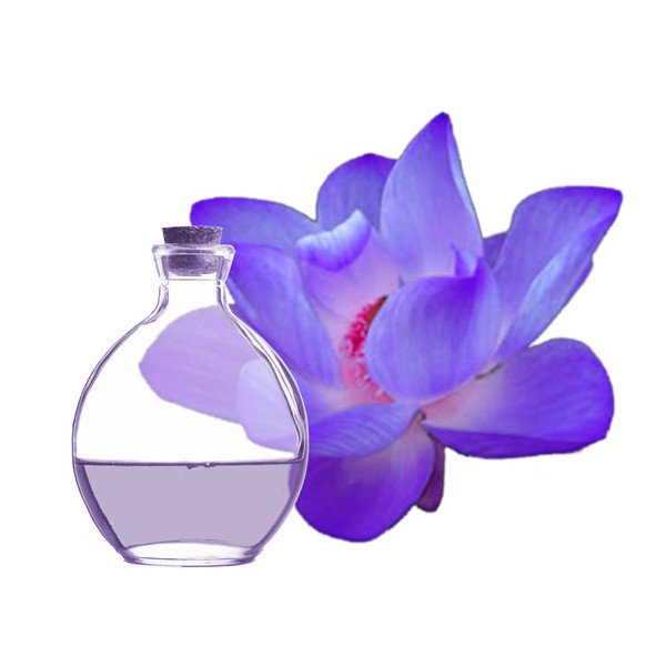 InfinityRelief's tweet image. Atención 
Regresaron unas flores muy especiales 
Lavanda y Violetas a Infinity Relief &amp;lt;3 &amp;lt;3