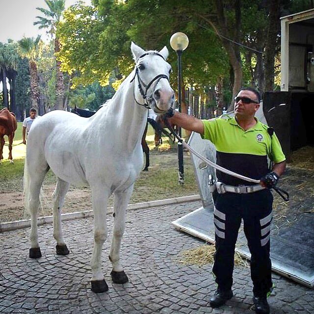 O iyi insanlar, o güzel atlara binip gittiler... #FethiSekin