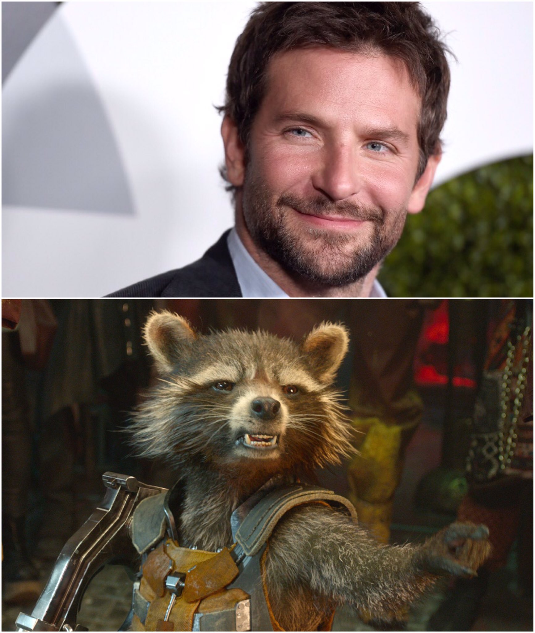 Happy Birthday Bradley Cooper aka Rocket Raccoon! 