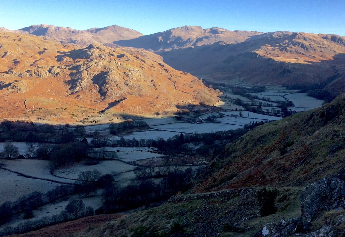 Molly Rosenberg tweet media