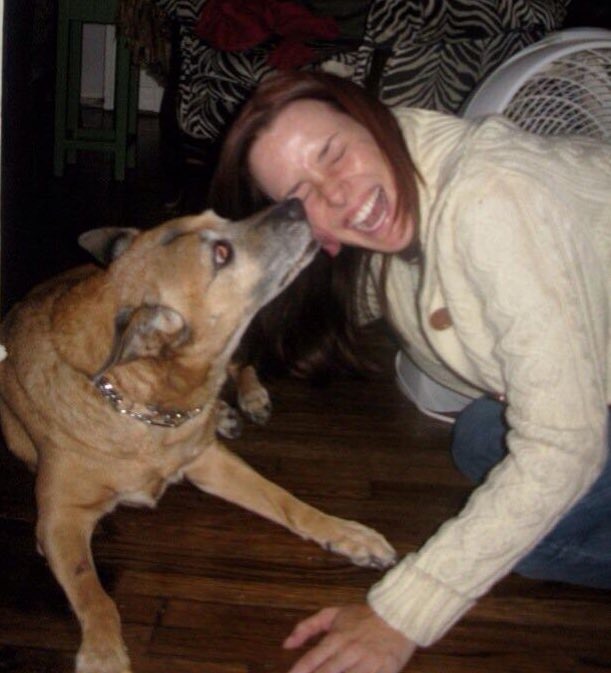 Wersching's tweet photo. Missing these slurps for 6 years now...🐶❤️🐶❤️🐶 Miss you babygirl :( Cuddle those furry babies! #MyFirstBorn #SweetSandy https://t.co/350NT6mJUG