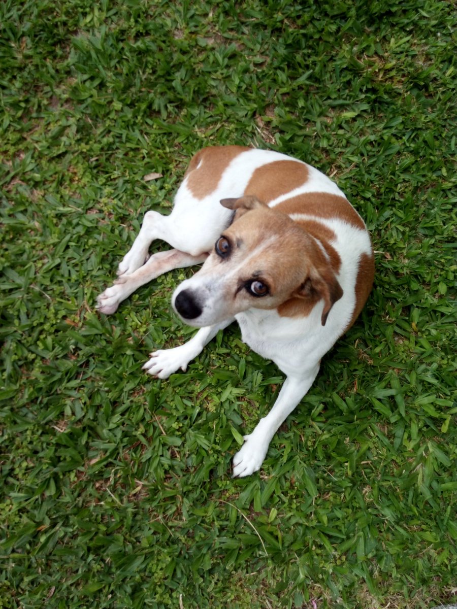 Fran_Cih's tweet image. Malhadinha.