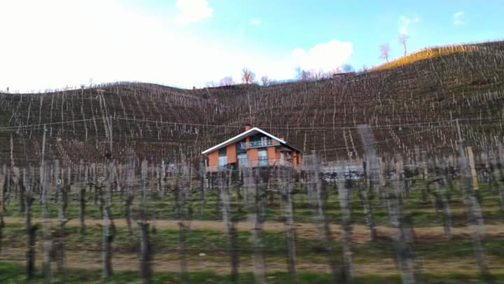 Sulla strada del Prosecco fra castelli, distese di vigneti e il Molinetto di Refrontolo 🍷

#trevisando #stradadelprosecco #vagabonditaly