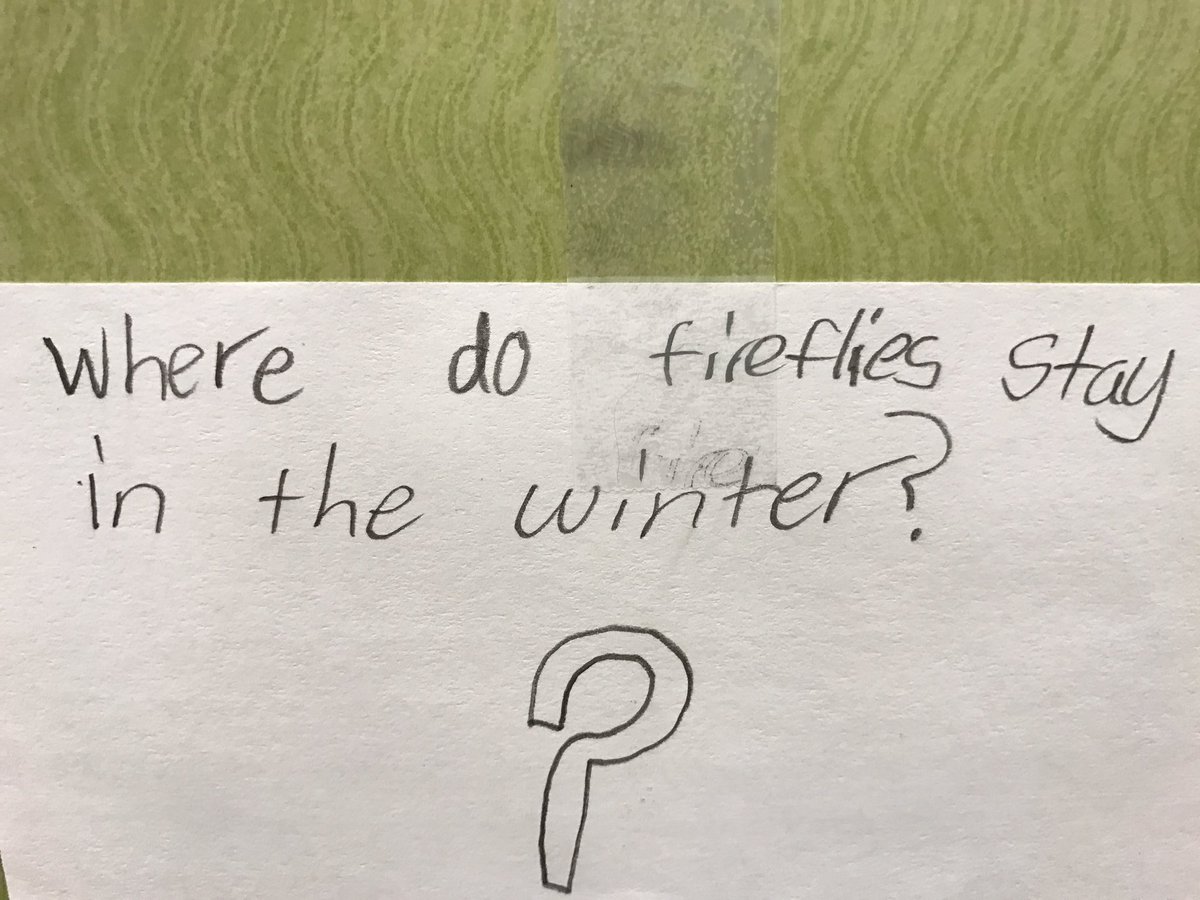 Mrs Nowaks 4th Grade tweet media
