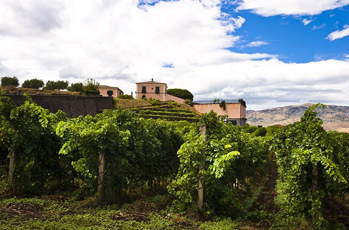 Kerin O'Keefe tweet media