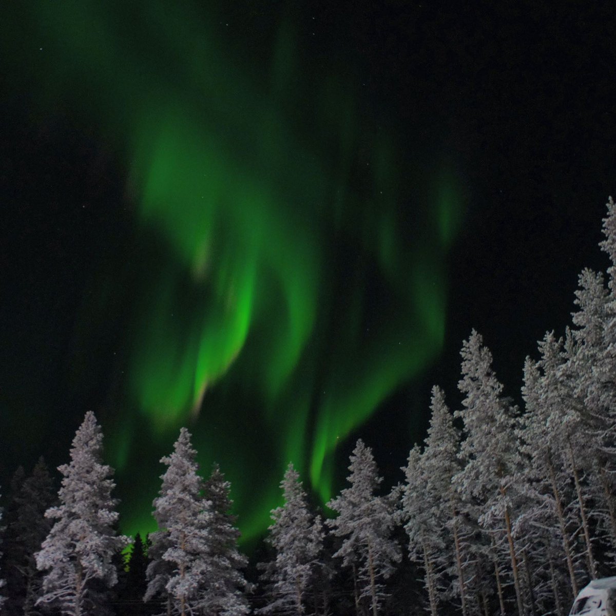 Adam_Attew's tweet image. What a show in Yllas tonight @visityllas @OurLapland thanks to @LaplandSafaris #yllas #lapland #finland #scandinavia #ski #snowboard