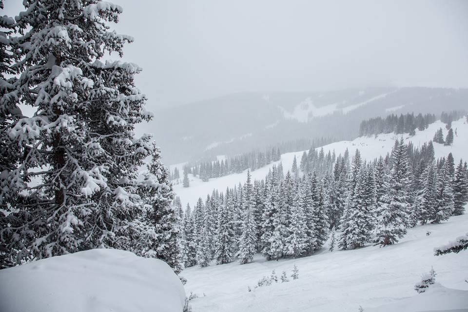 TriciaGould's tweet photo. #PowderDay in #Vail! Starting the year off right! See you on the slopes! #WhyWeLiveHere #LuxuryLiving #VailLiving @RonByrneVail 970.331.6441 https://t.co/jHw56DqwY4