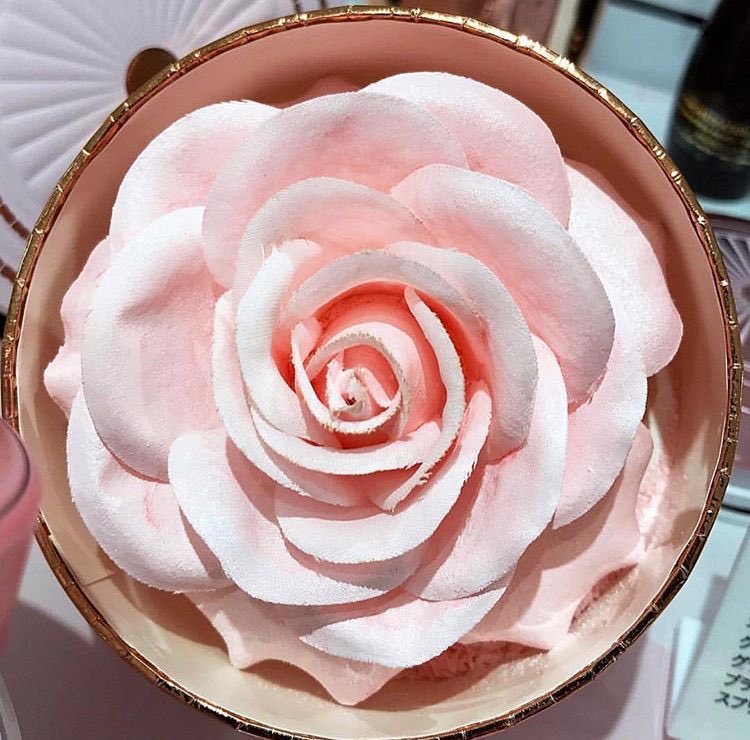 Trendmood's tweet photo. Another look 😍🌸 @LancomeUSA #AbsolutelyRose #Spring2017 #Collection 🌸 La Rose Parisian #Powder #LimitedEdition Available ▶ Jan 📸@jolenecyl 💗 https://t.co/1owGnGRb7r