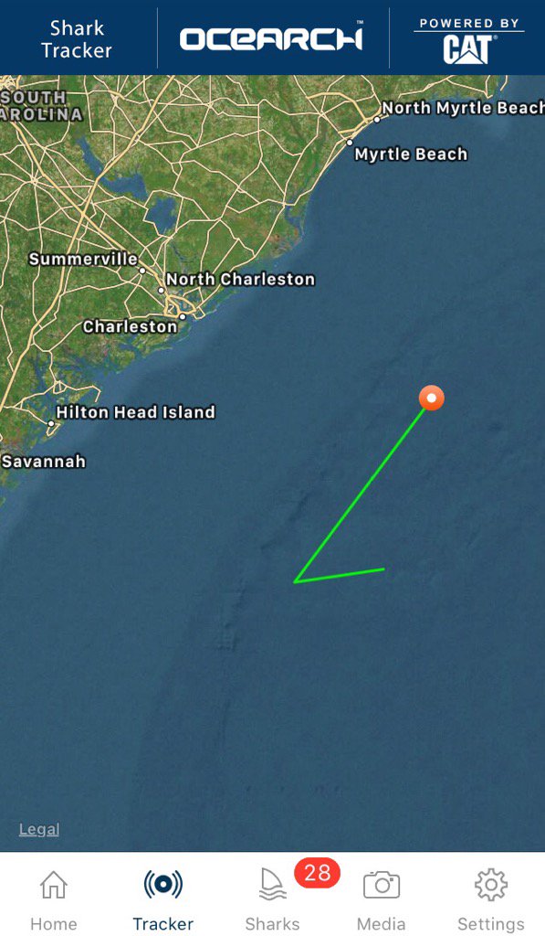 deep blue shark location deep blue shark location