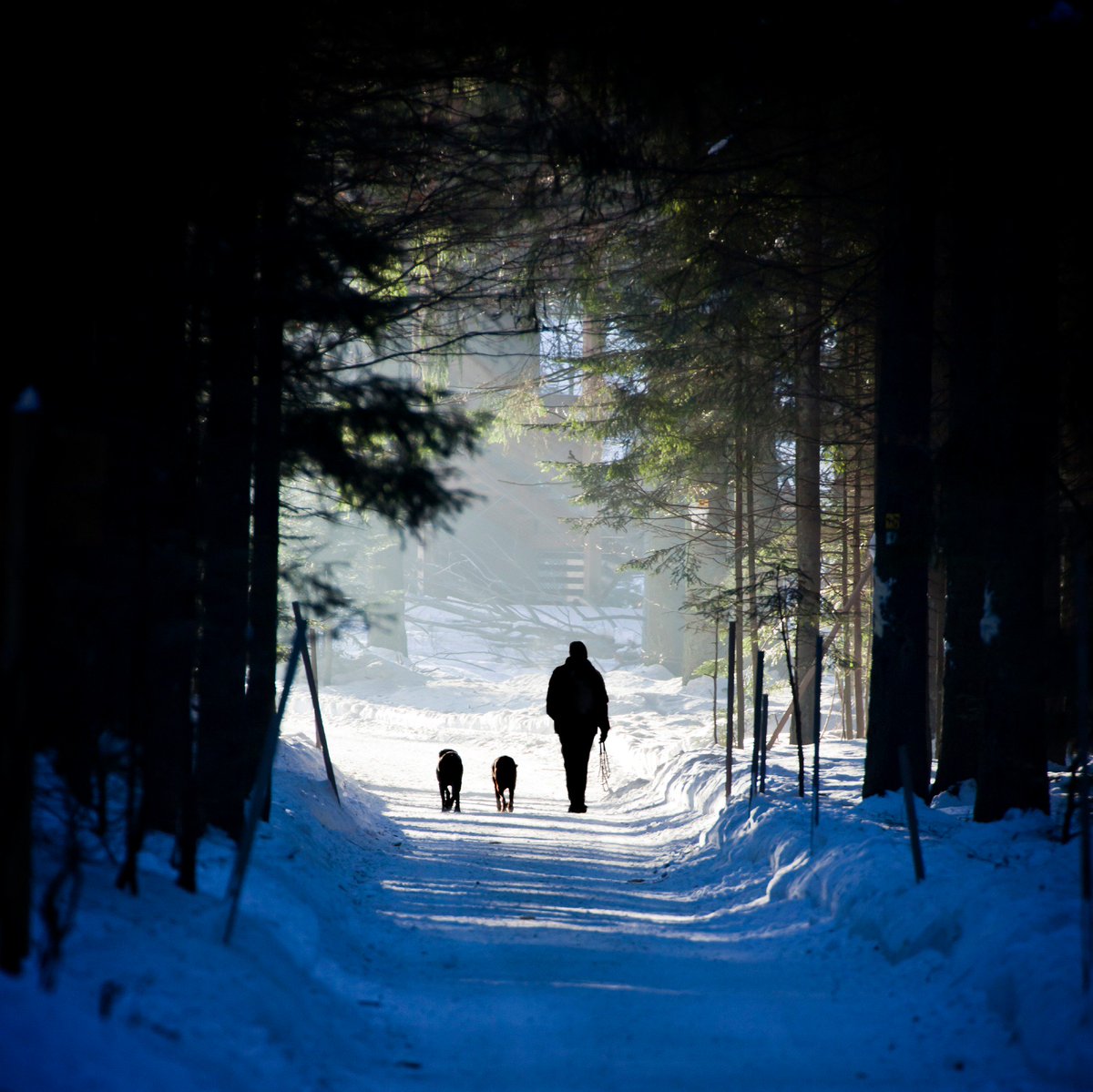 KP Clicker Training tweet media