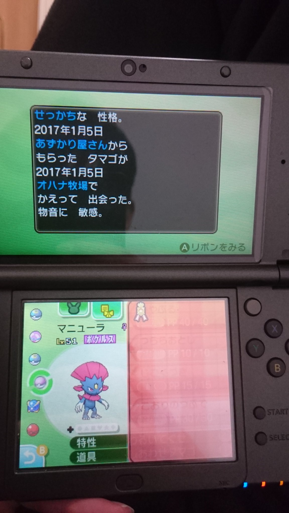 ススリカ ポケモンサンムーン Twitterren これ４vなんよね 性格厳選がきつくて妥協した 他余りラブボの夢特性ニューラ5v タマゴ技つららばり じごくづき みやぶるがおる マニューラ育成２体目やでプレッシャー連鎖で使いにくいから夢getしてつくったど
