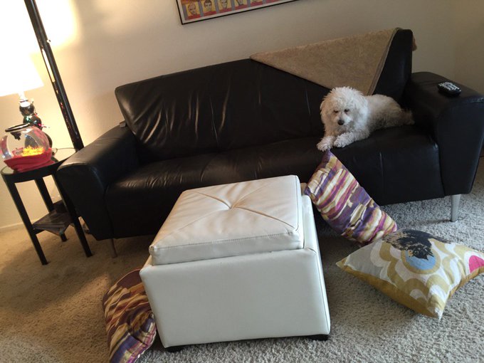 TW Pornstars Brenda James. The most liked pictures and videos from Twitter for all time. Page 16