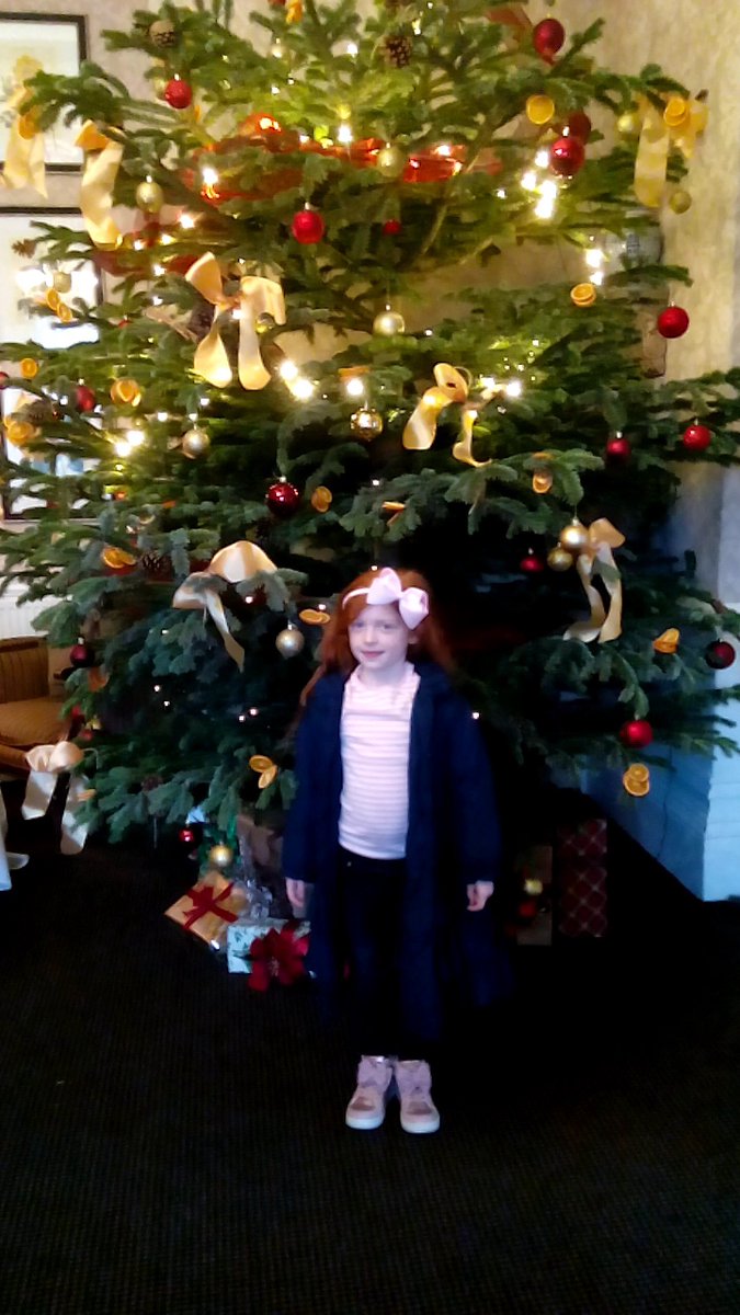 Joe the bar supervisor is now trying to cut this 15’ monster up to get it out. I mean the tree not the cuties stood in front of it.