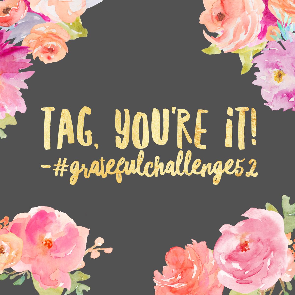 MRTrambler's tweet image. Come join @whatmyfridgesay @JanineHuldie @themilkleech @winnettes_  for our #Grateful52 Instagram party! instagram.com/p/BO47KOogYTJ/