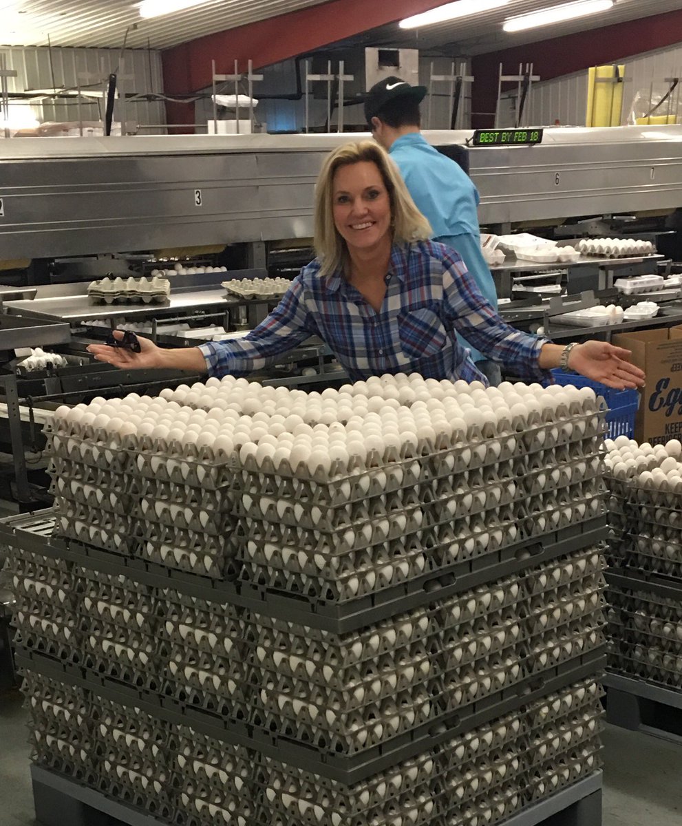 SIMwins's tweet image. SIM client @RepFitzenhagen having an #eggcelent time visiting @WiltonSimpson @ his #pasco egg farm @freshfromFL @Publix #plaidaintbad