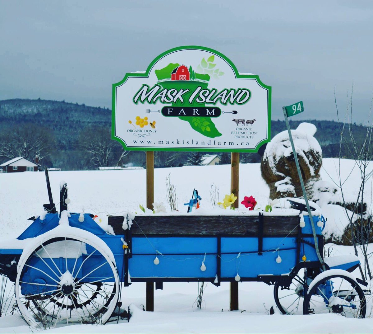 Maskislandfarm's tweet photo. Winters arrived here on the farm #canadianwinter #ontario #farm #madawskavalley https://t.co/4LQEUxyPFM