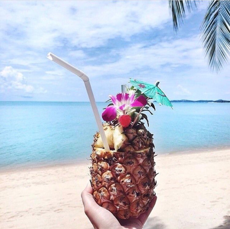 sparkly_wine_'s tweet photo. Once in a while you need to stray from #wine 🍾🍷🌺 #pinacolada #mermaid #mermaidlife #ocean #sea #cocktail #beach #paradise https://t.co/xSHbYF02mv