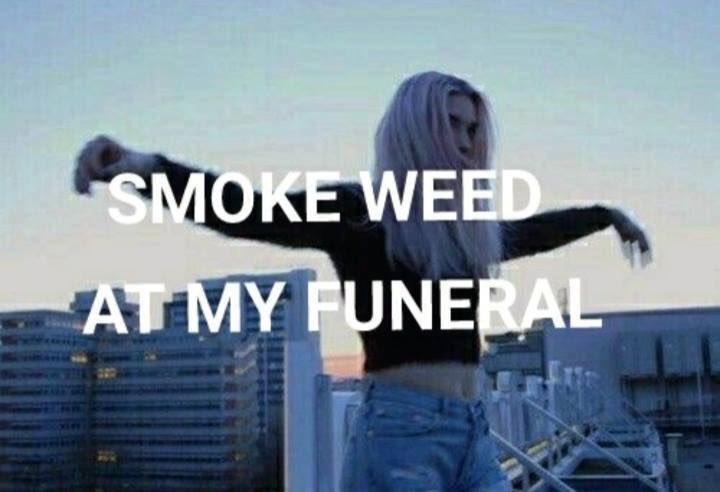 riptide_sisters's tweet image. Seriously. Cremate me, scatter my ashes into a bonfire while everyone smokes a blunt of blue dream in my honor. No tears, just good vibes.-A