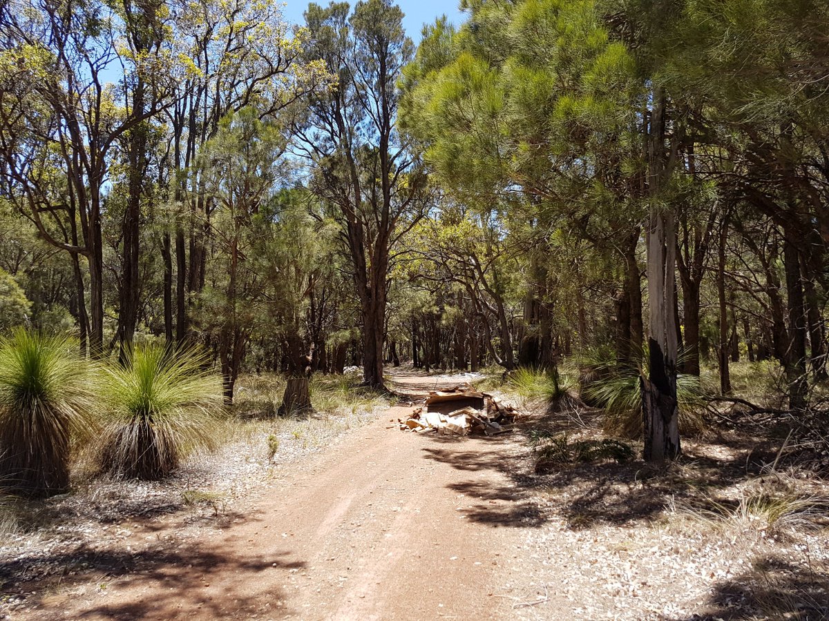 Duck_counter's tweet photo. Disgusted by the amount of illegally dumped rubbish incl. asbestos in the #jarrahforest @shireofsj @watercorpwa https://t.co/o8wPgnyKmA