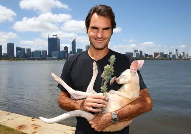 Tennis_Now's tweet photo. Trying to do a #DailyFuzz every day because we love tennis and we love Twitter. Here's today's -->>
https://t.co/1ARp0wm1B4 https://t.co/DXX6DCgkJG