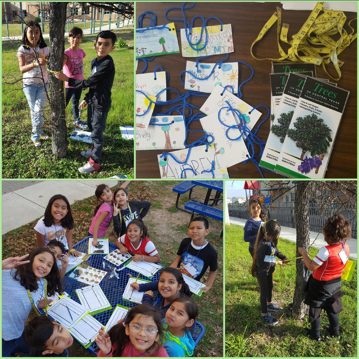 NISDmartin's tweet photo. 4th Grade Eco-Action Team is conducting  a tree survey as part of the school's biodiversity audit. #MartinScience @NISDmartin4th https://t.co/UB5JRFAEYm