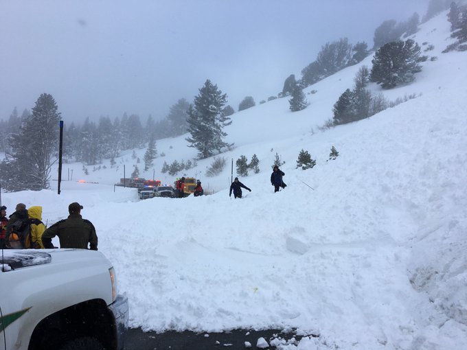 View image on Twitter